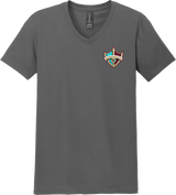 Delaware Ducks Softstyle V-Neck T-Shirt